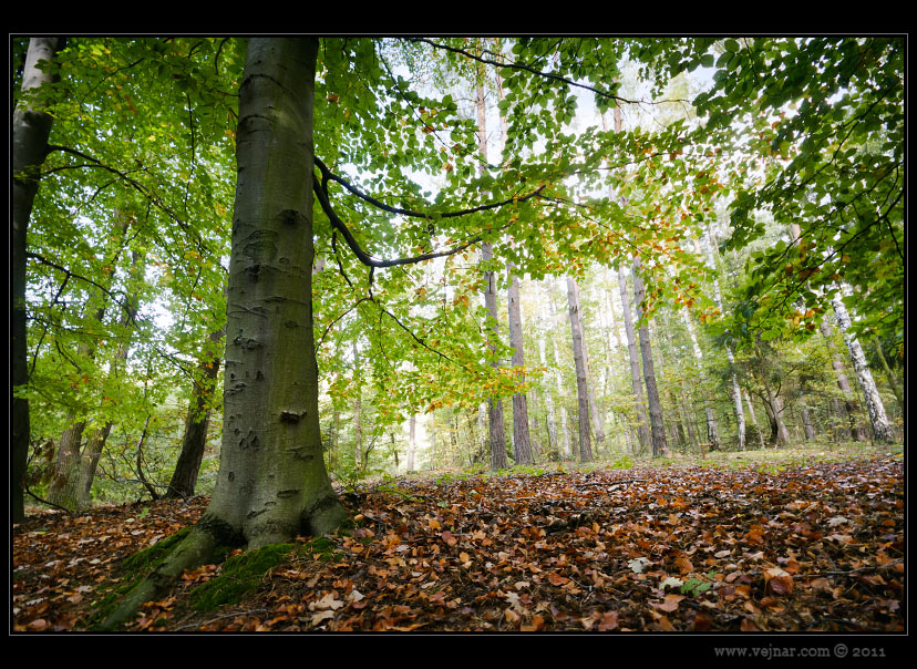 autumn pictures 02