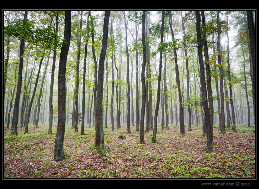 autumn pictures 03