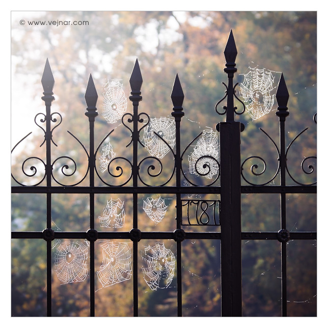 autumn photo 07