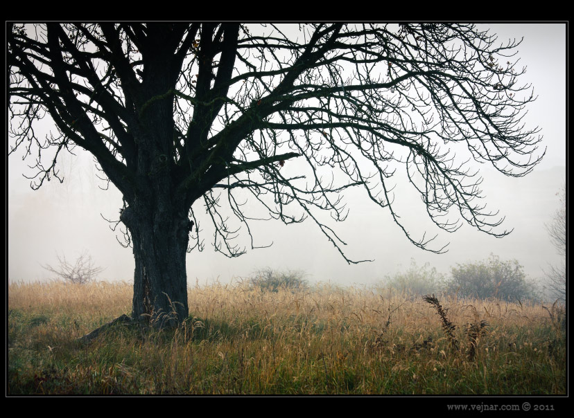 autumn photo 08