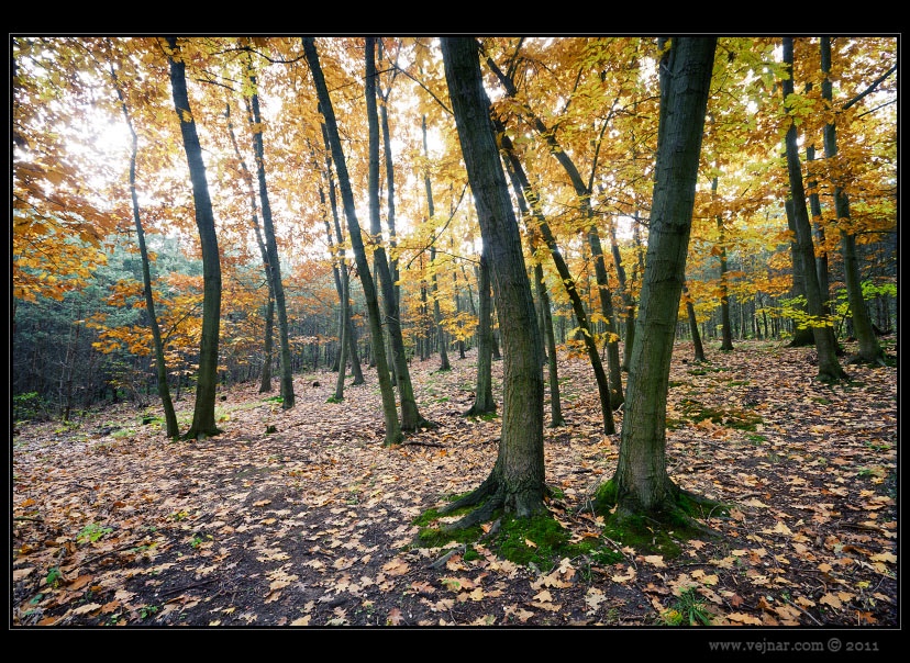 autumn pictures 09