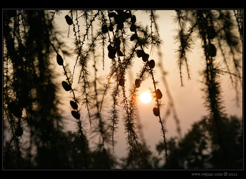autumn pictures 10