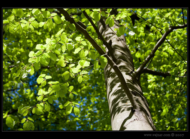 foto proda 09