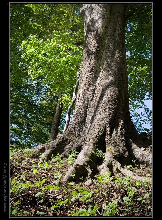 foto proda 11