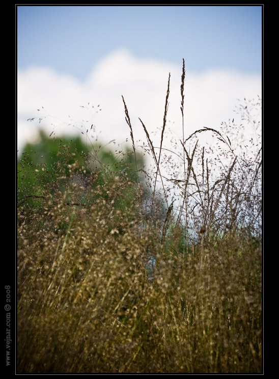 proda fotky 07