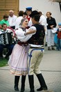 pork Lys 28