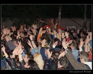 fans