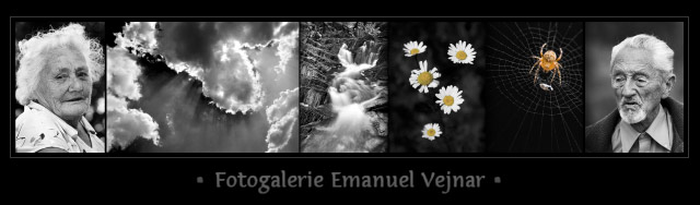 Emanuel VEJNAR Photos
