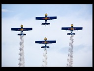 Flying Bulls 02