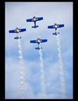 Flying Bulls 03