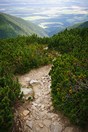 Vysok Tatry 37