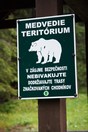 Vysok Tatry medvd