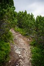 Vysok Tatry 63