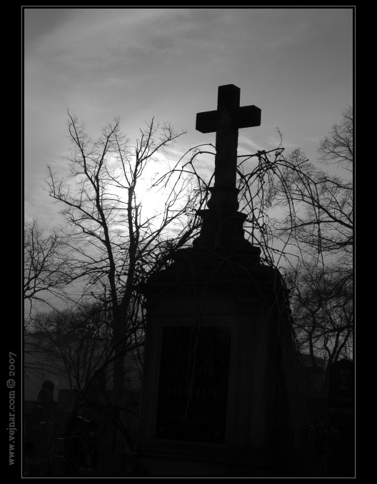 hřbitov 07
