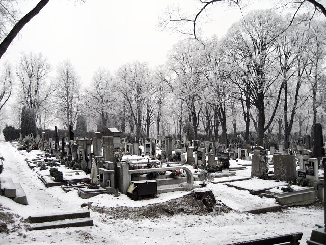 zimní hřbitov