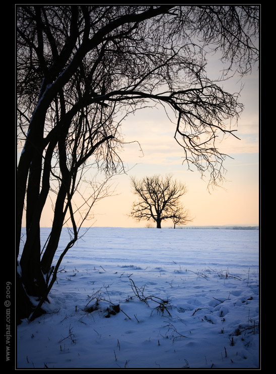 winter nature