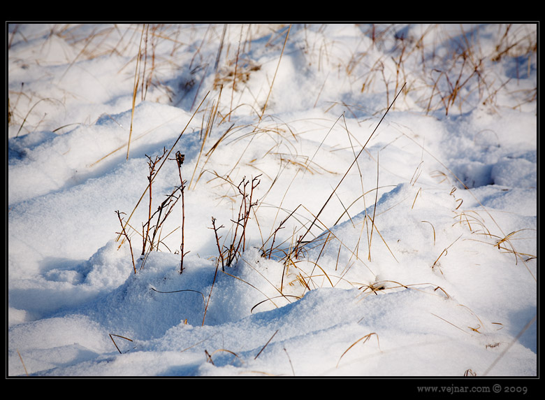 snow on field