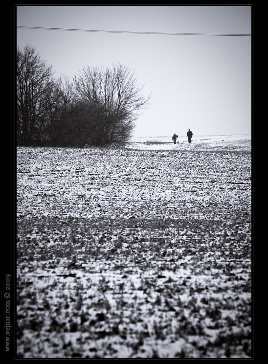 people in snow