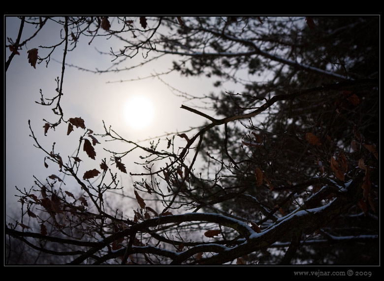 winter twilight