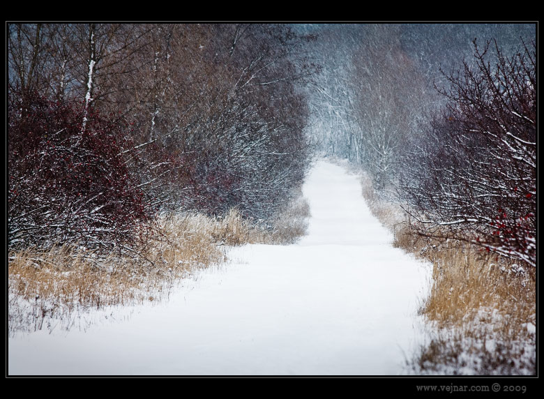 winter path