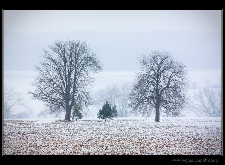 winter photos