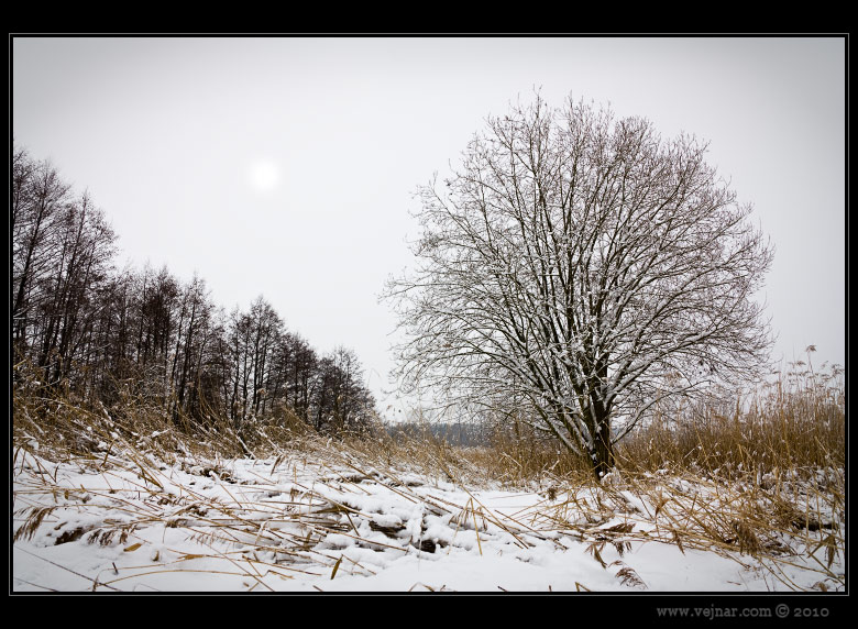 winter nature