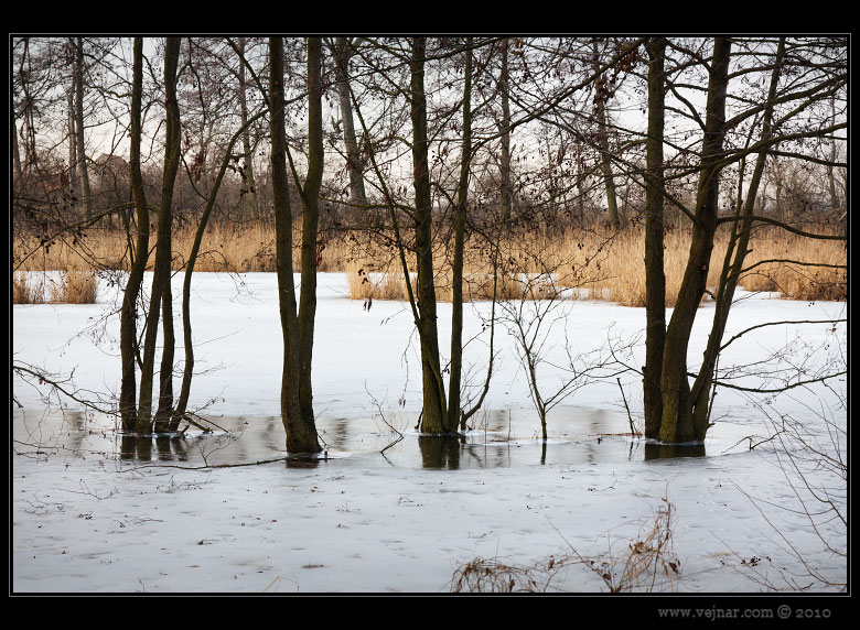 winter photo