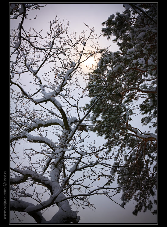 winter nature photos