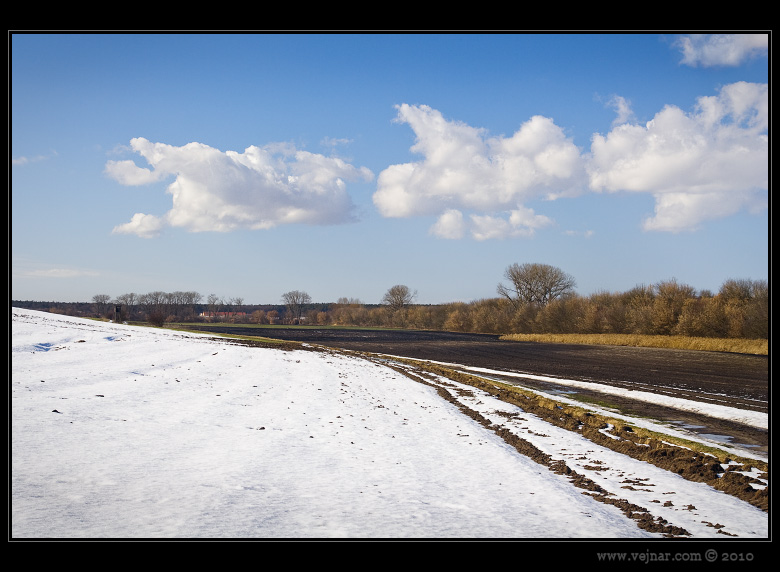 winter landscape