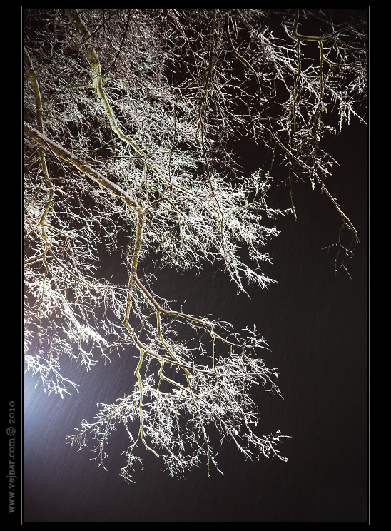 night frost photo