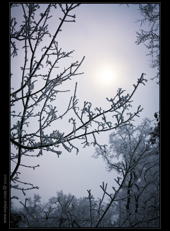 winter sun