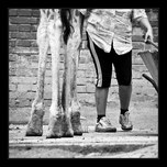 zoo liberec 02