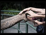 zoo liberec 03