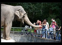 zoo liberec 04