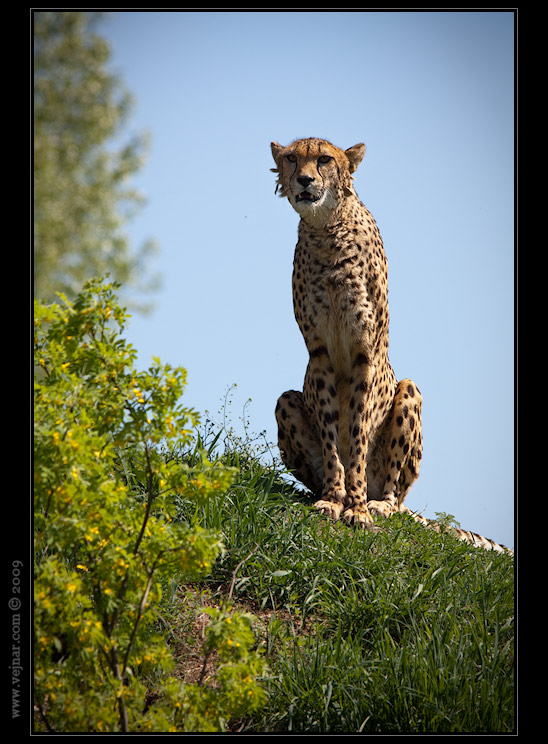 Zoo Praha 07