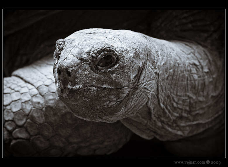 Zoo Praha 14